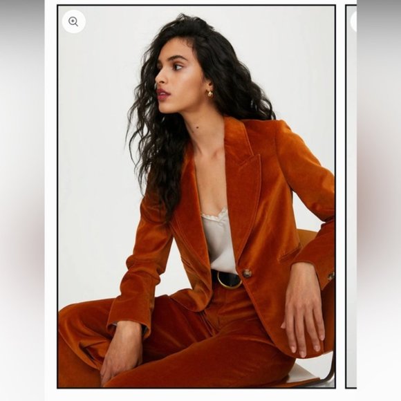 Aritzia Jackets & Blazers - Wilfred Mona Velour/Velvet Blazer Size 0